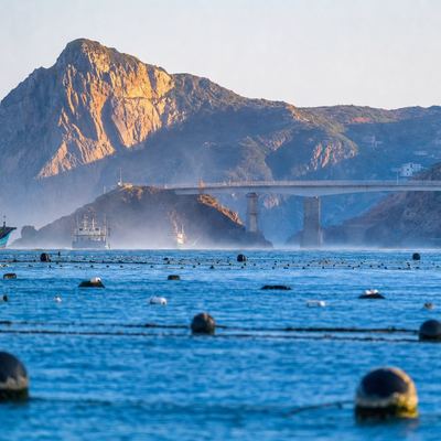 沈家湾↔枸杞岛/嵊山往返实名船票